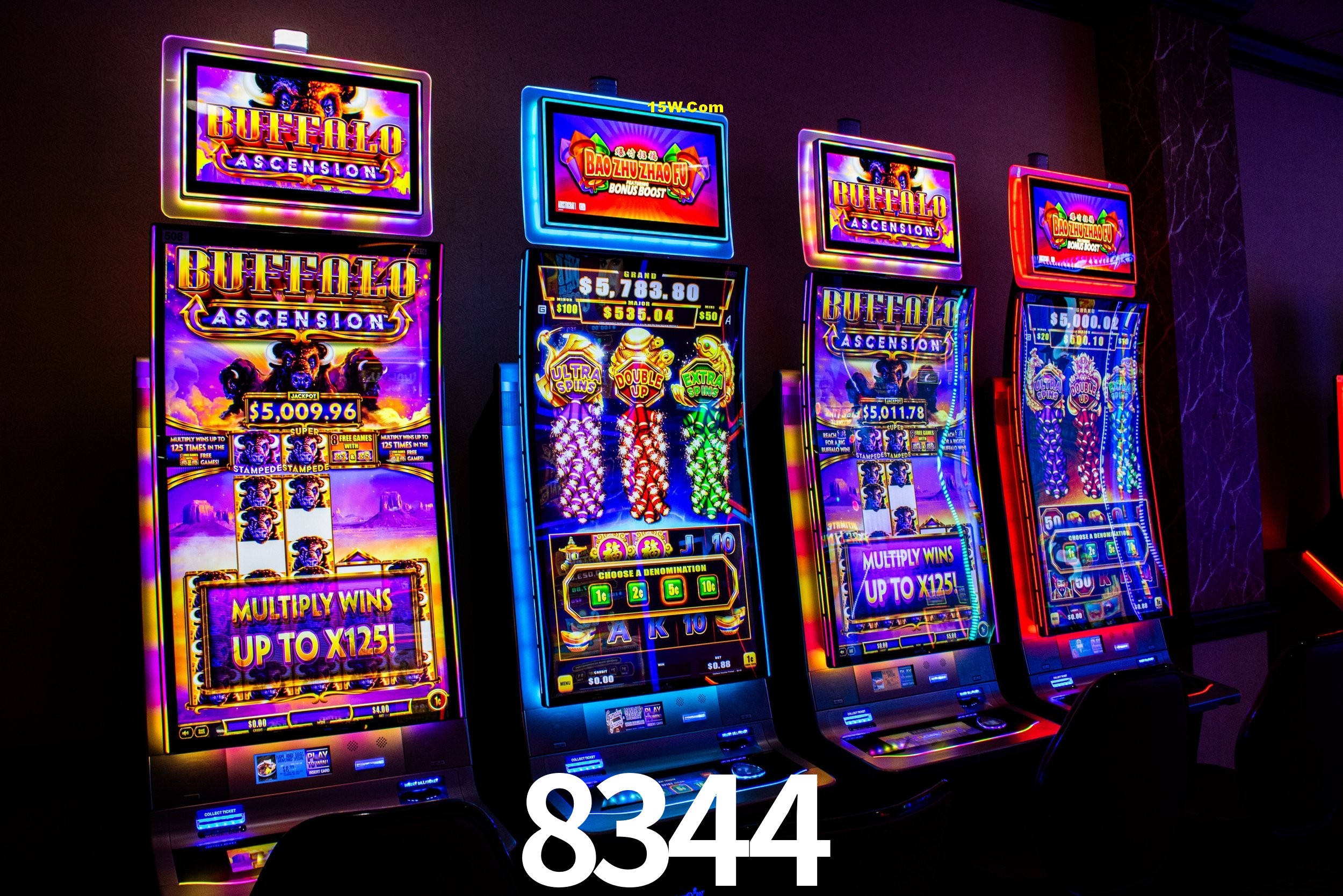 Live Casino 8344