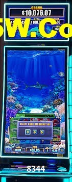 VIP Casino 8344